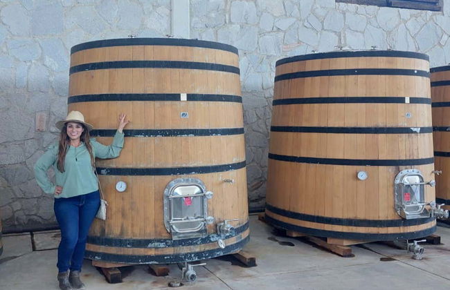 Aguascalientes Private Winery Tour - Foto 2