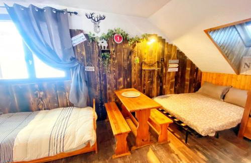 STUDIO 4 OU 6 personnes pieds des pistes et remontées mécaniques - Foto 1