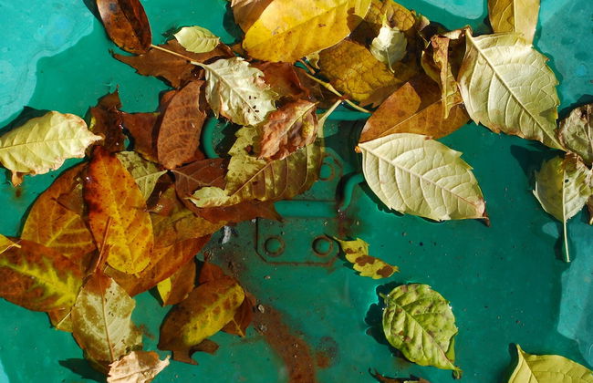 Agriturismo Walden - Photo 29