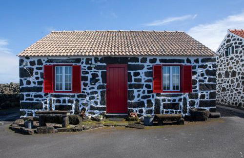 Adega dos Virgilios - Foto 8