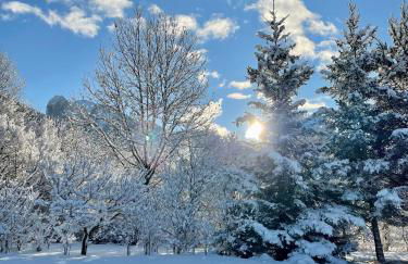 Chalet cosy dominant le village - Foto 59