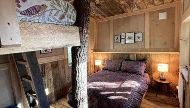 Eco-Friendly, Abstract Treehouse Surrounded by Wildlife and Hiking Trails For a Special Getaway in Sparrow Bush, New York - Foto 5