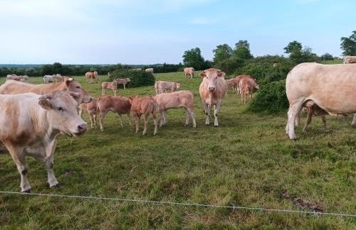 Maison 6-8 personnes à 12km du Puy du Fou - Photo 2