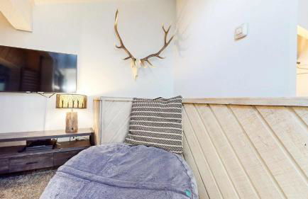 Chic 1 BDR Loft with Hot Tub Near Canyon Lodge - Foto 38