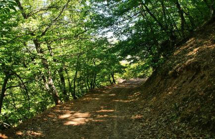 Chalet Coquelicot (Co-cli-co) relax in nature - Photo 52