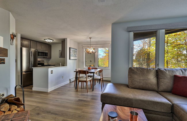 Fall Line Condo C3 1 Bedroom Condo - Photo 11