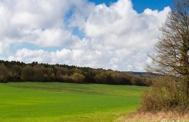 Woodland Chalet in the Ardennes - Foto 42