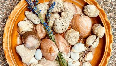 Villa Roseal - Foto 4, Garden