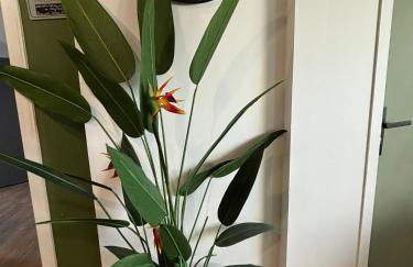 Jungle Cosy - Foto 8