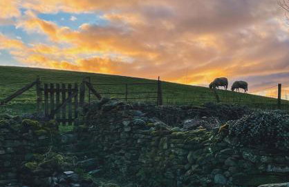 Bumble Cottage in Sedbergh - Foto 35