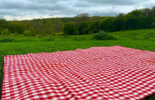 Orchard Cottage - Kent - Foto 10