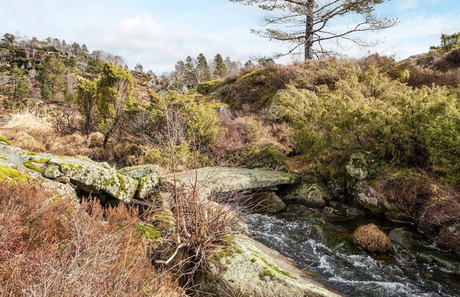 7 Person Holiday Home in Lyngdal - Foto 26