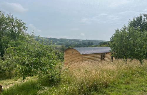 Owls Nest - Shepherds Hut Alfriston - Foto 12