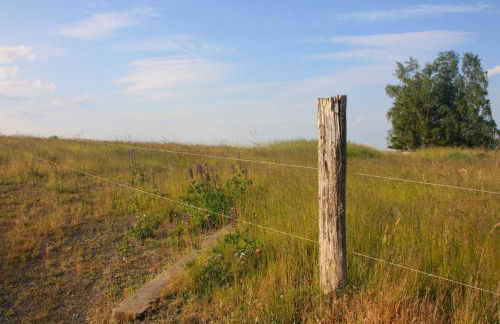 Harzhaus Drei Hexen - Foto 59