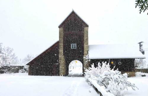 Auszeit in der Burg - Foto 10
