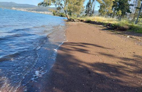 Villa Laguna -house by the beach - Foto 63