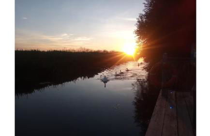 Riverside Lodge Self-Catering Apartment - Foto 21