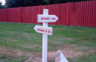 sosnowelowe - Foto 67