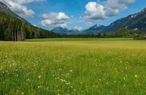 Gröbl-Alm Haus zur schönen Aussicht - Foto 12