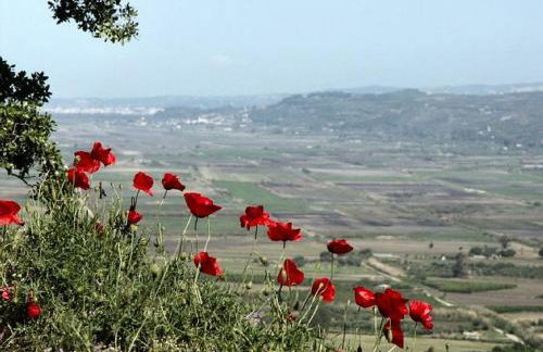 Villa Thea - Foto 30