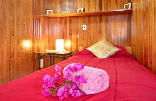 Welcome in Paradise - Photo 28