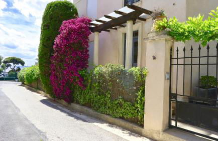 Residence les Lauriers - Photo 4