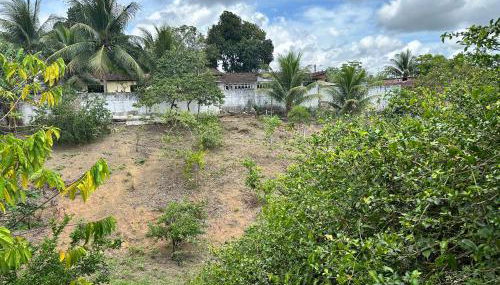 Chácara mirage - Foto 4