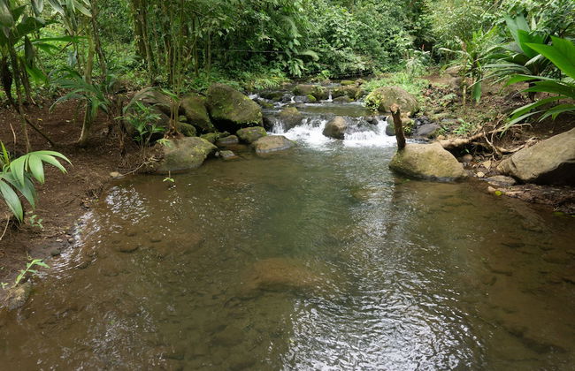 Oski Lodge - Foto 42