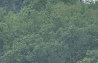 Ferienwohnung Katharina I - Foto 14