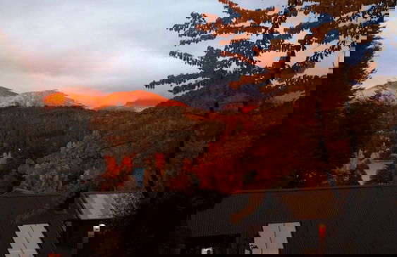 Lilen Apart - Photo 32