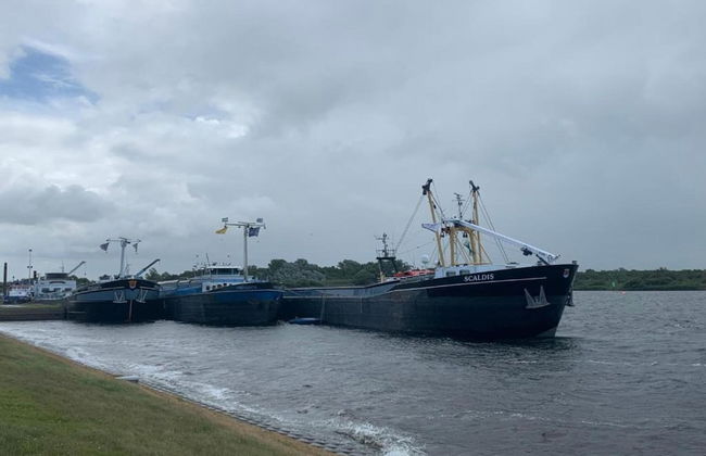 Peaceful Retreat Near Zeeland Beach - Photo 28