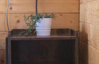 Finca Florida - Foto 20