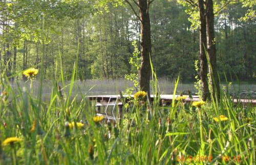 Domek Moczykija - Foto 50