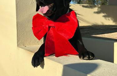 A Casa da Bela Vista - Foto 56