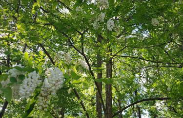 Odyssée-Le Nautile - Foto 7