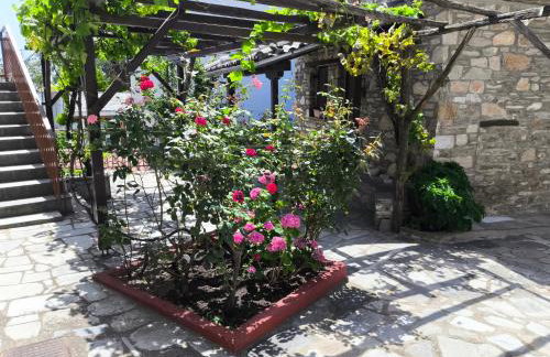 VENUS GUESTHOUSE - Foto 40