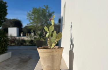 VITA VIVET TRULLO - Foto 29