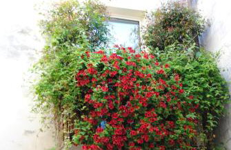 FLO House BARI - Foto 7