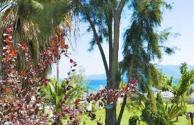 Amarynthos Beachfront Vacation House with garden - Foto 3