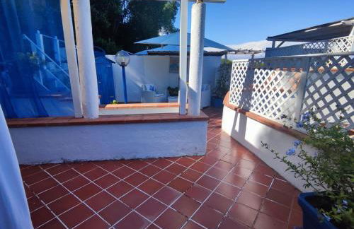 Pino Marino - Foto 25