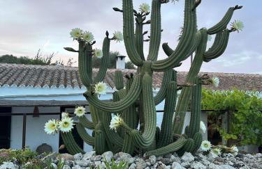 Agroturismo Rafal Rubí - Foto 40