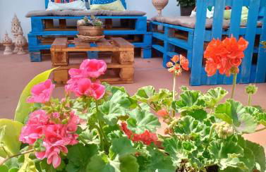 Villa Corallina Relais & Climbing Center - Foto 58