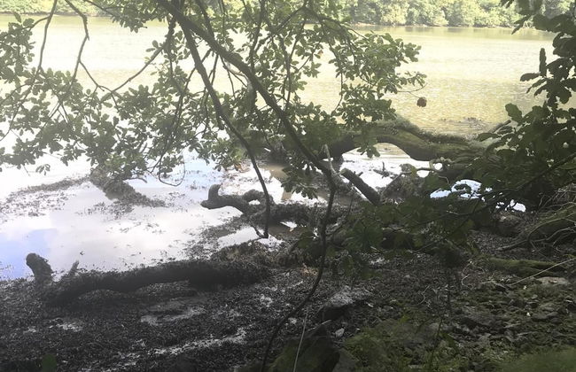 2-bed Apartment Sleeps 4 With Garden - Foto 13