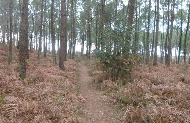 Les Calicots Sanguinet - Photo 41