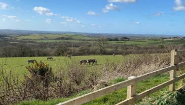 Meadow View - Foto 2