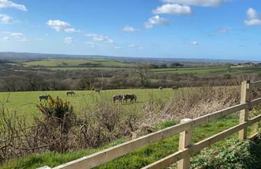 Meadow View - Foto 2