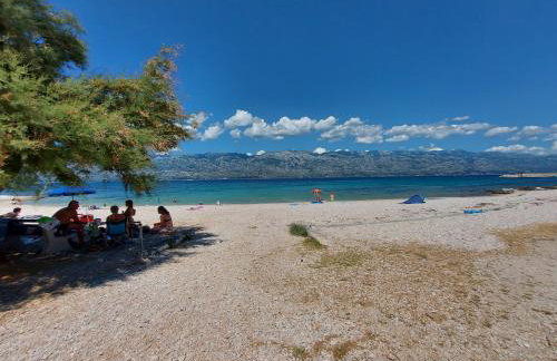 Apartmani Ciprijan - Foto 24