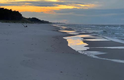 Ulinia Zacisze Dom do 10 os Dębowe Zacisze i Koral lub Horyzont i Bryza - Photo 40