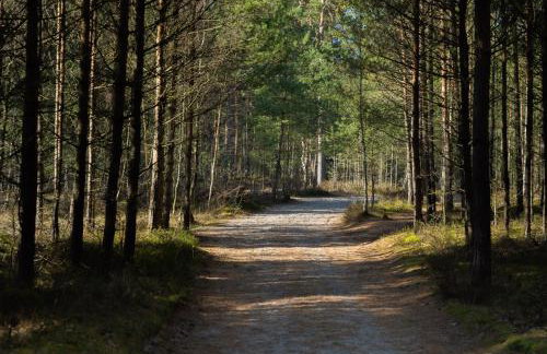 Lubia Apartments baltic sea, garden ,parking ,dog firendly, in Lubiatowo - Foto 49