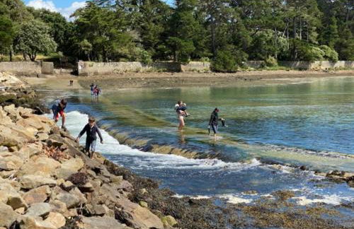 studio moderne les pieds dans l'eau - Foto 11